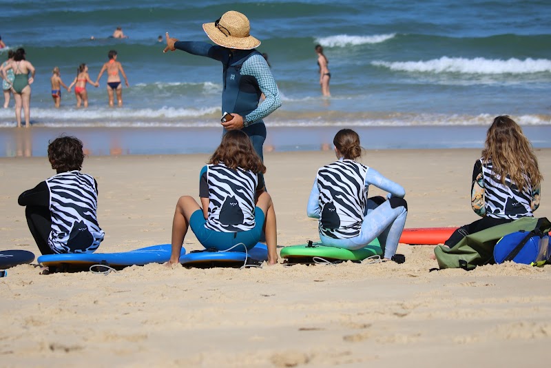 Cool Cat Surf Academy - École de surf - Vieux-Boucau