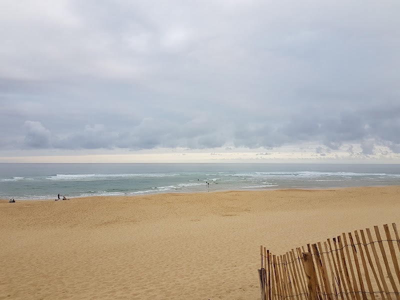 Ecole de Surf Anglet - Plage des Cavaliers : Cours et Stage de Surf Anglet - Anglet