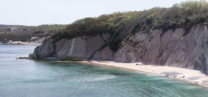 école de surf Aquality School Saint Jean de Luz - Saint-Jean-de-Luz