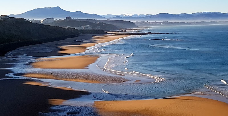 Ecole du Surf Français Biarritz - Biarritz