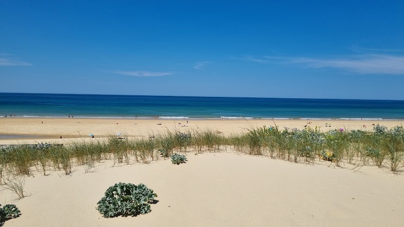 Lespecier surf school - Mimizan